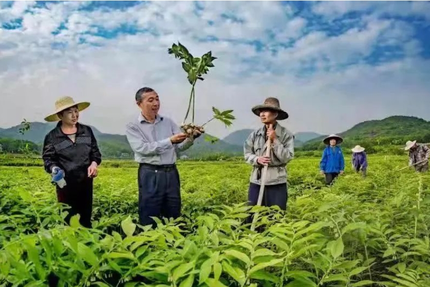 微信截图_20231003111536.png