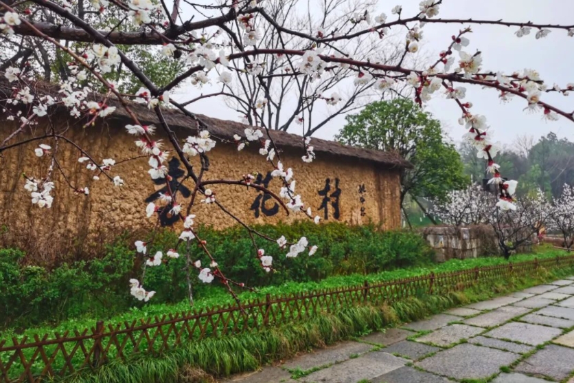 杏花村.png