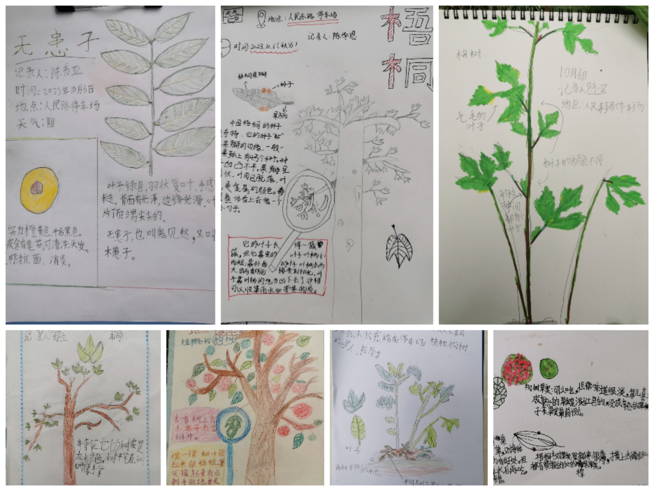 微信图片_20231006140157.jpg