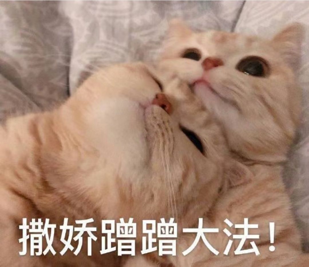 20231010113645front2_0_323169_Furmu6YEmd83KynCS9FQij2orsFO.jpg