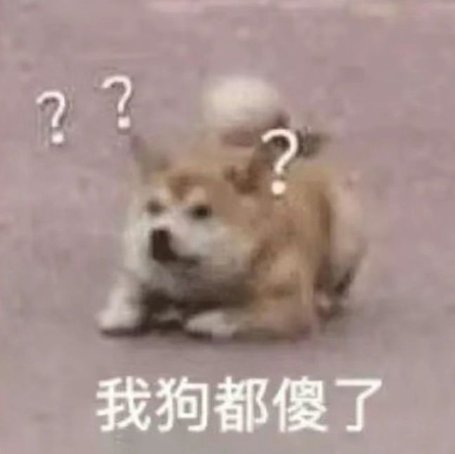 20231022222358front2_0_359781_Fso_Ppobi_7O2Y0KhCYk076h7NTf.jpg