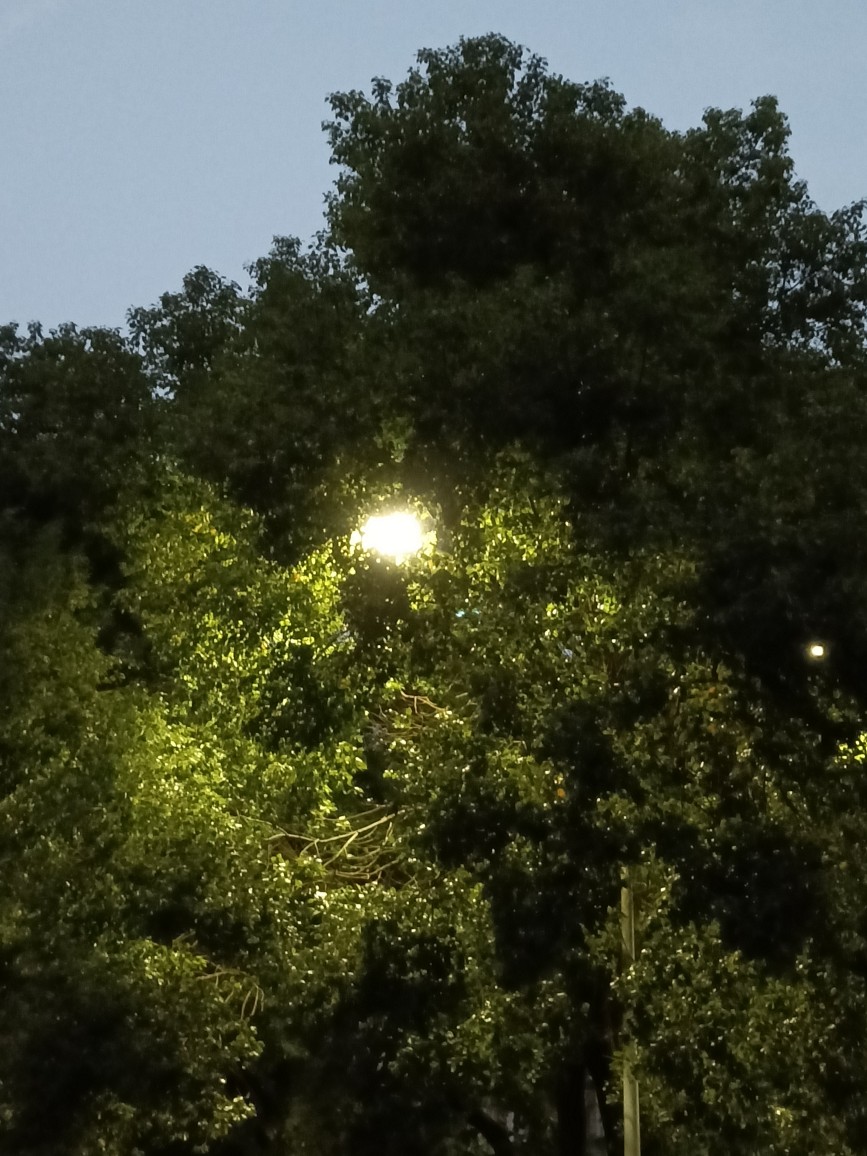 20231029174436front2_0_321214_FoYm7a2ZVJwVM1NEev0wpB7NsBQL.jpg