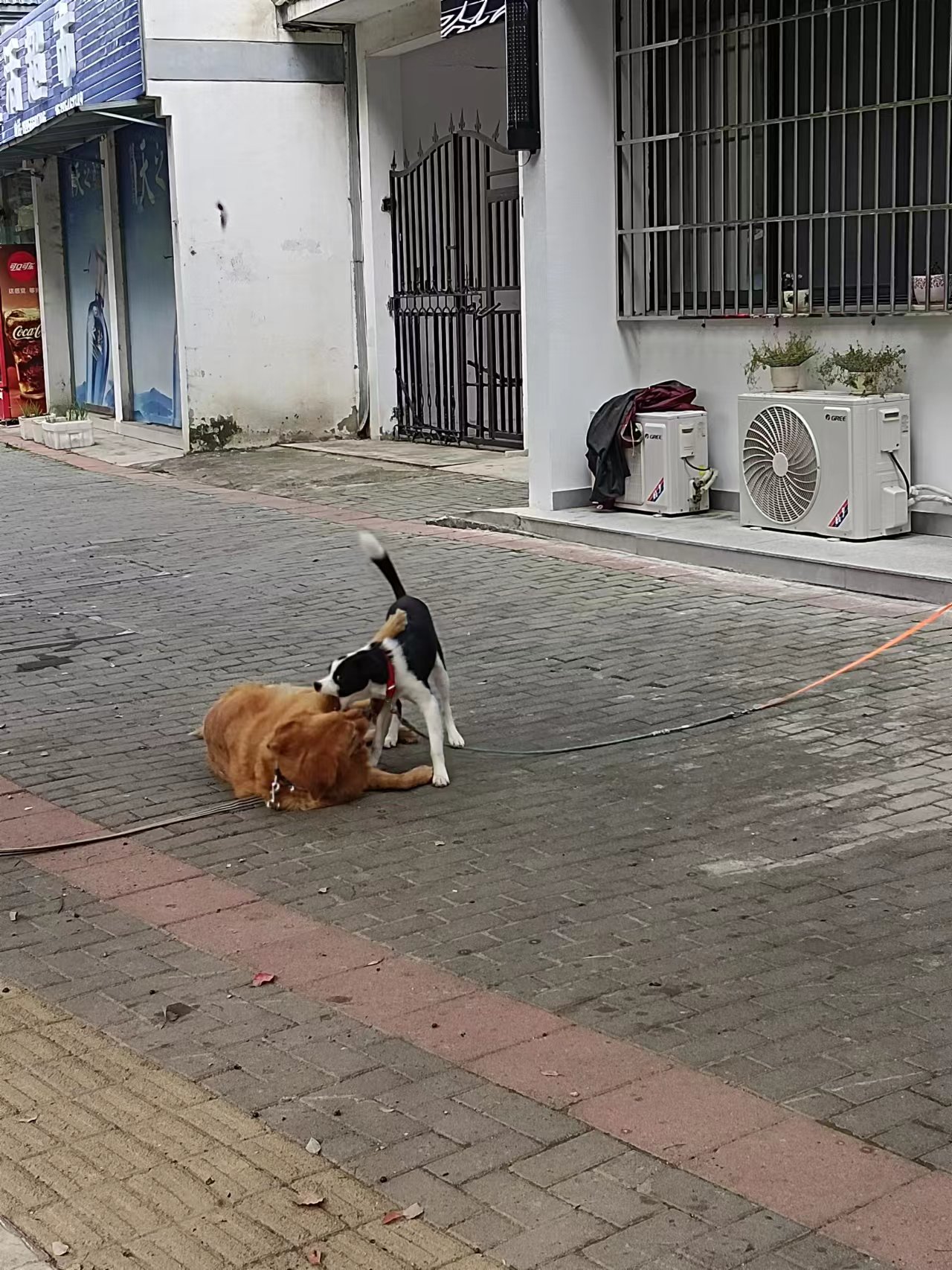 微信图片_20231105112953.jpg
