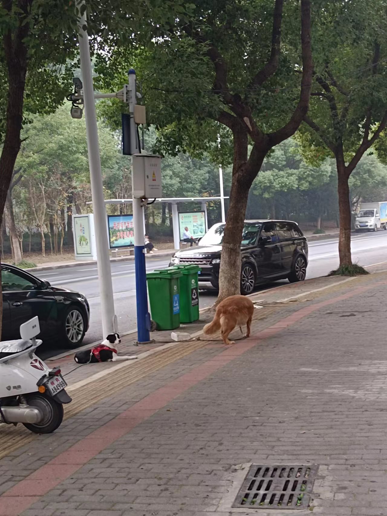 微信图片_202311051129532.jpg