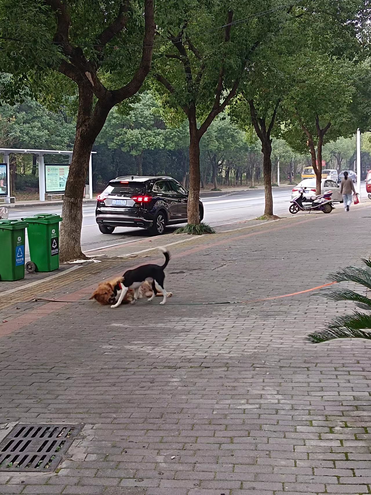 微信图片_202311051129534.jpg