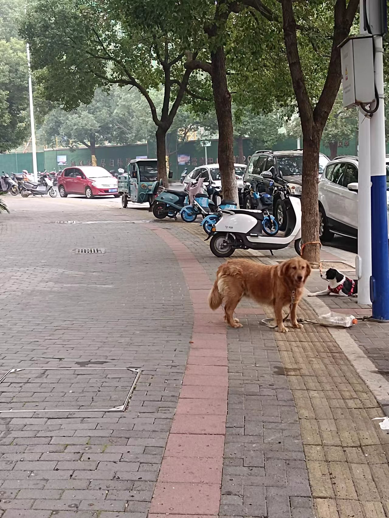 微信图片_202311051129535.jpg