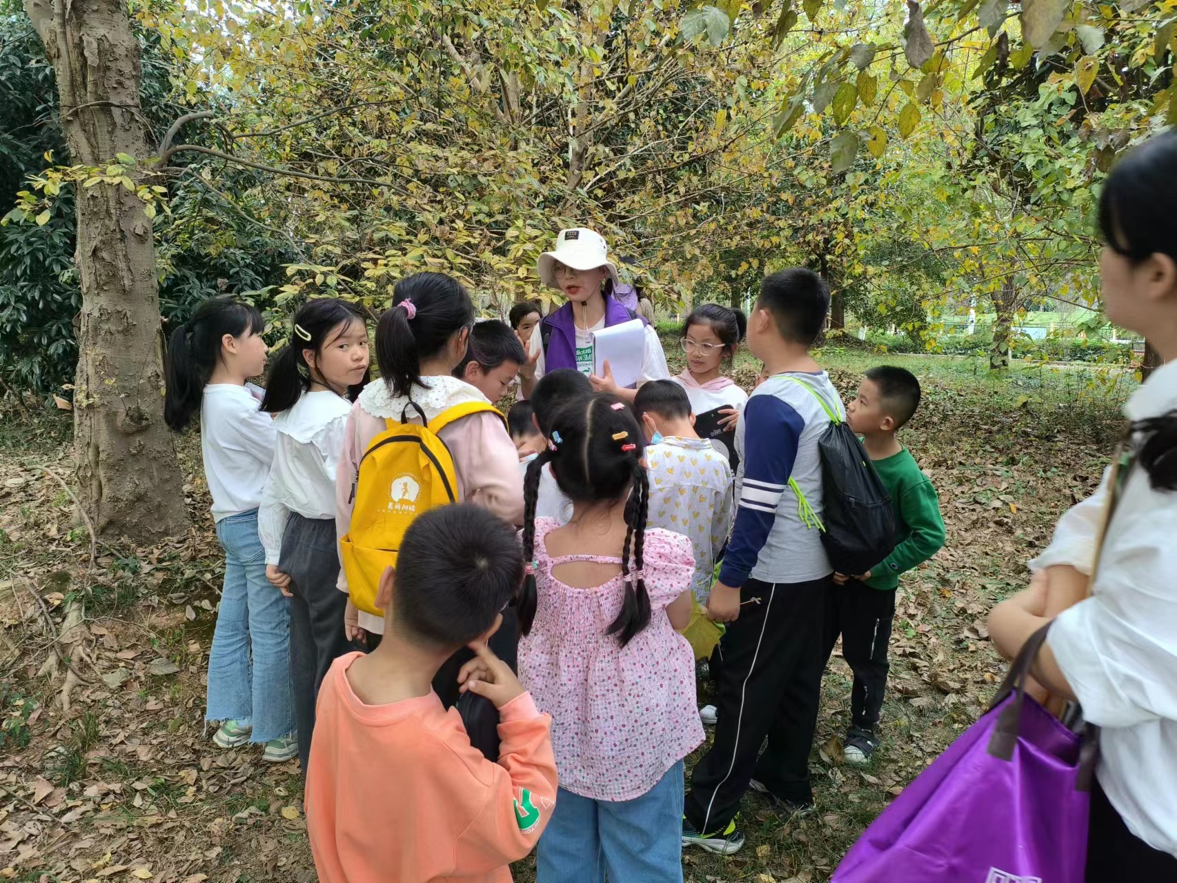 微信图片_20231105164709.jpg