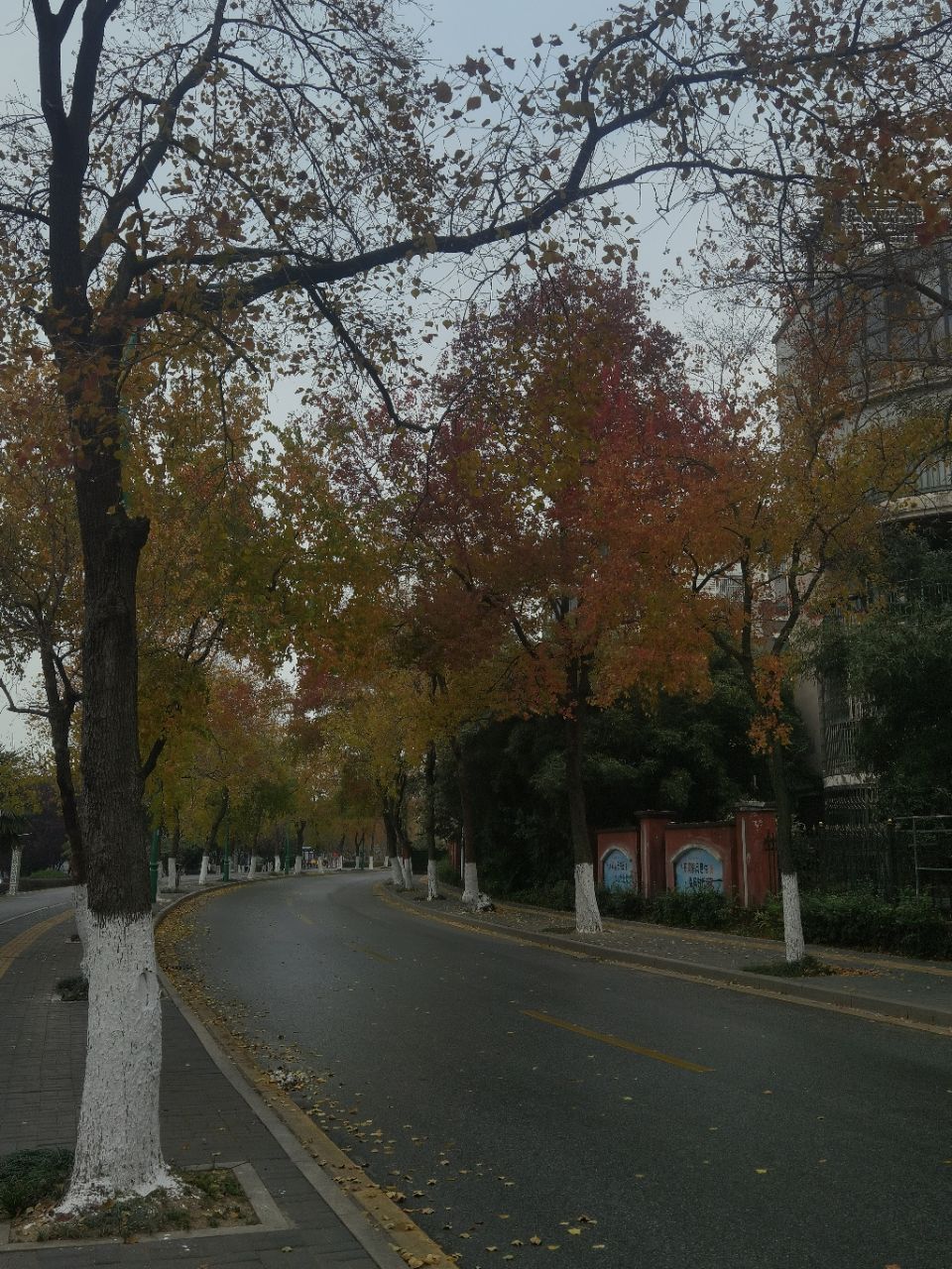 20231126142709front2_0_285153_FoYyVPH7U9m9CutZr2jCY-oIZ4p3.jpg