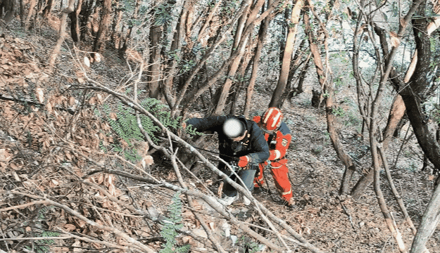 33.gif