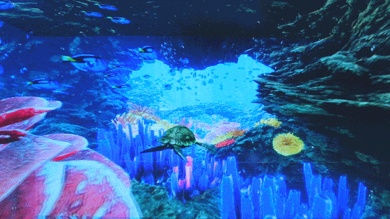 11.gif