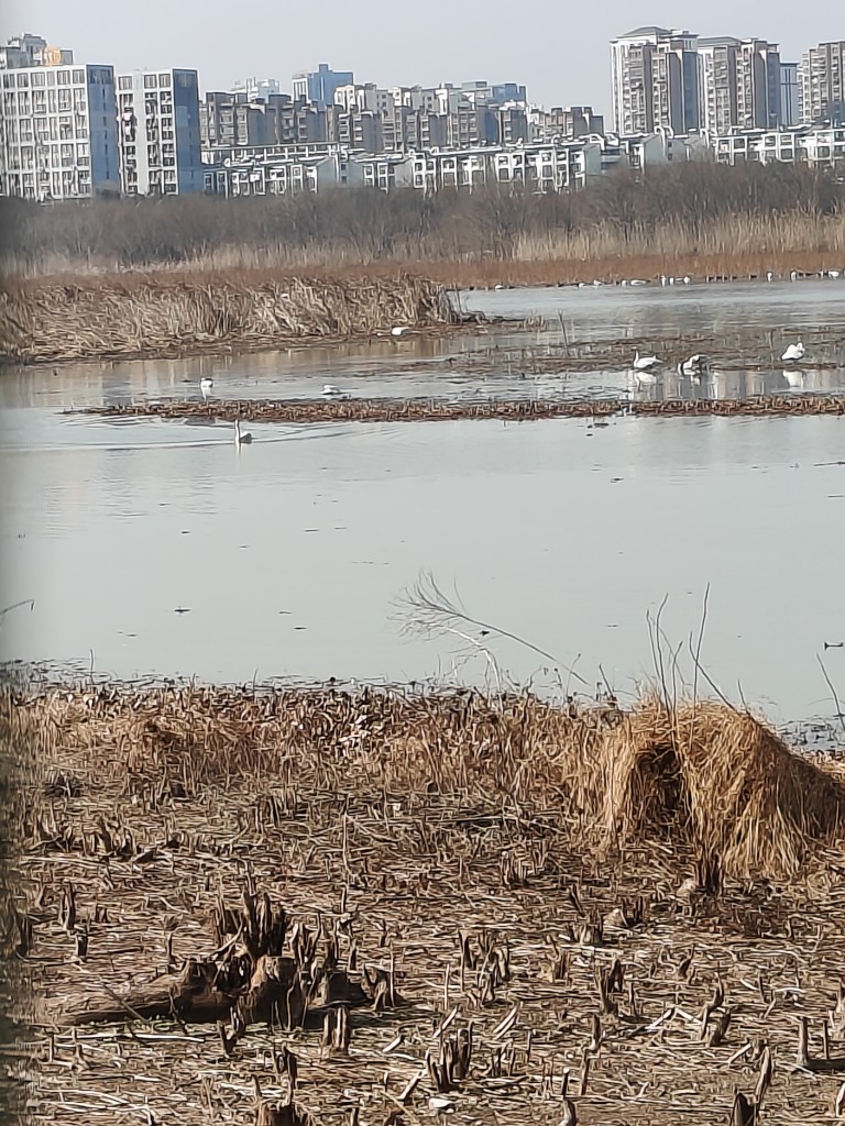 20240128135241front2_0_233786_FpL-R3K_u812JHtlUj1YL2LuddOy.jpg