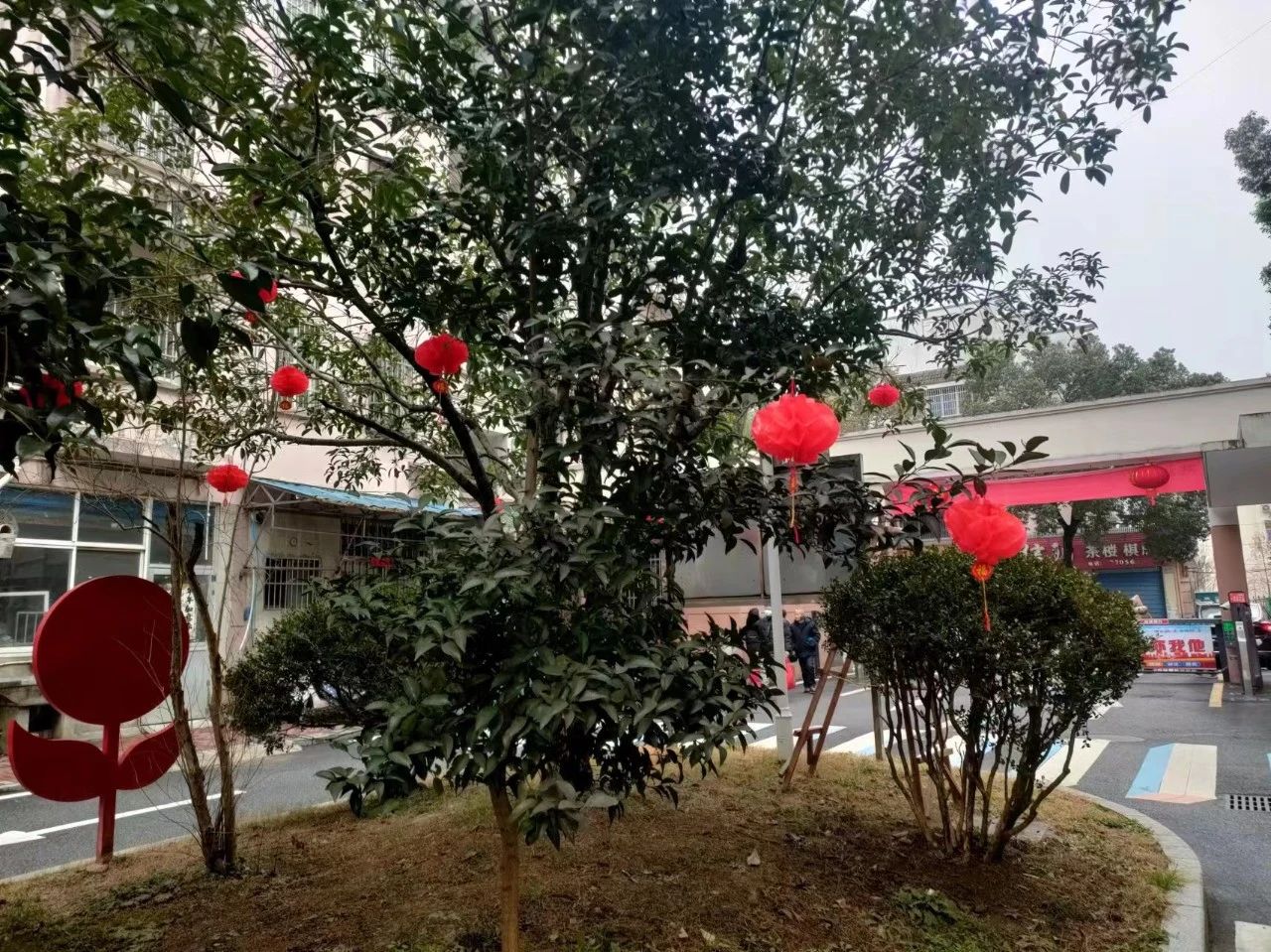 微信图片_20240208185125.jpg