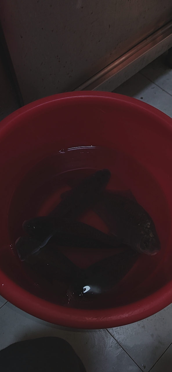 20240209013146front2_0_176147_FtecgBsvEMr98T7AGNVLSl2rw8kE.png