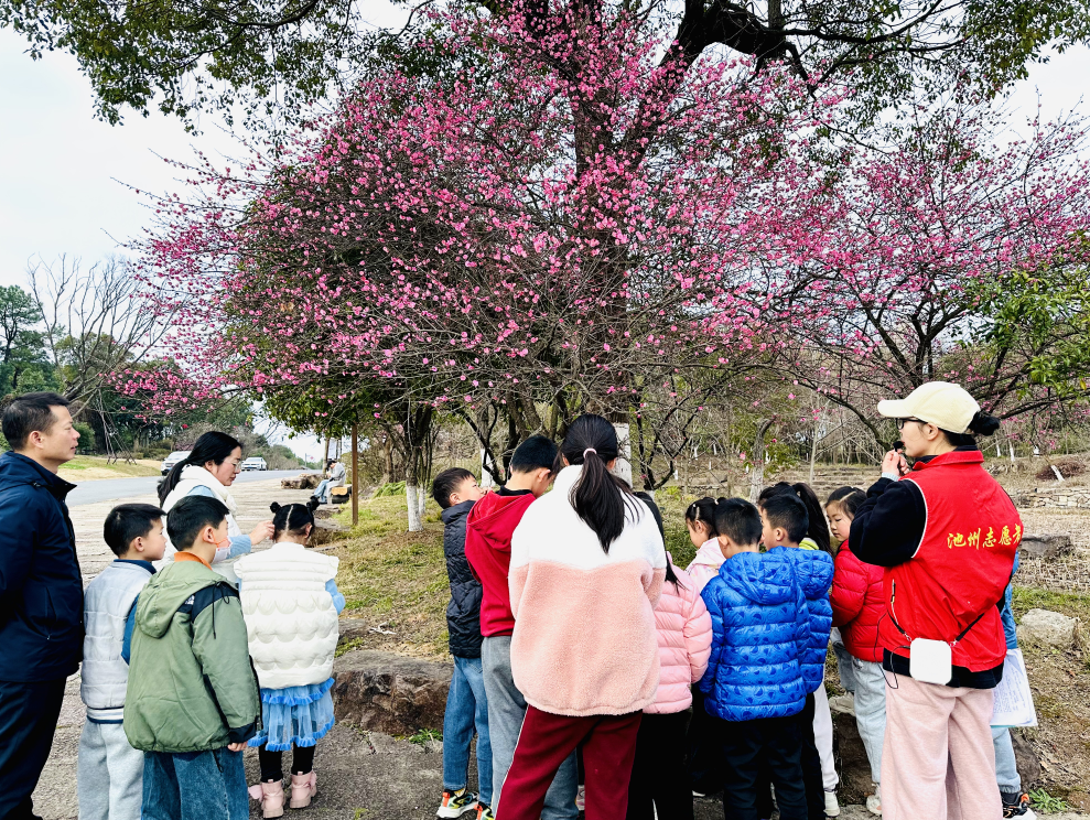 QQ浏览器截图20240217185953.png