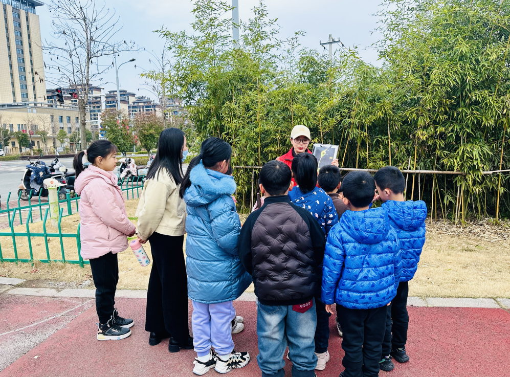 QQ浏览器截图20240218172628.png