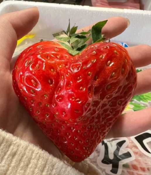 微信截图_20240221095401.png