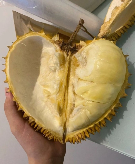 微信截图_20240221095504.png