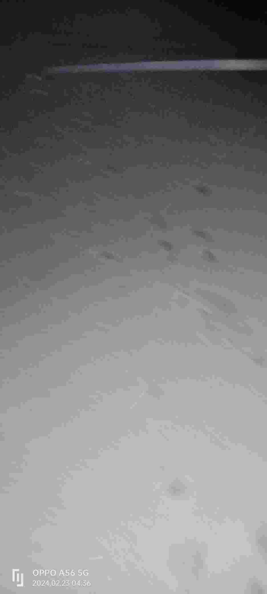 20240223043801front2_0_353664_FiZlNV-c0uZrMF-hkZtQRdJrsSaP.jpg