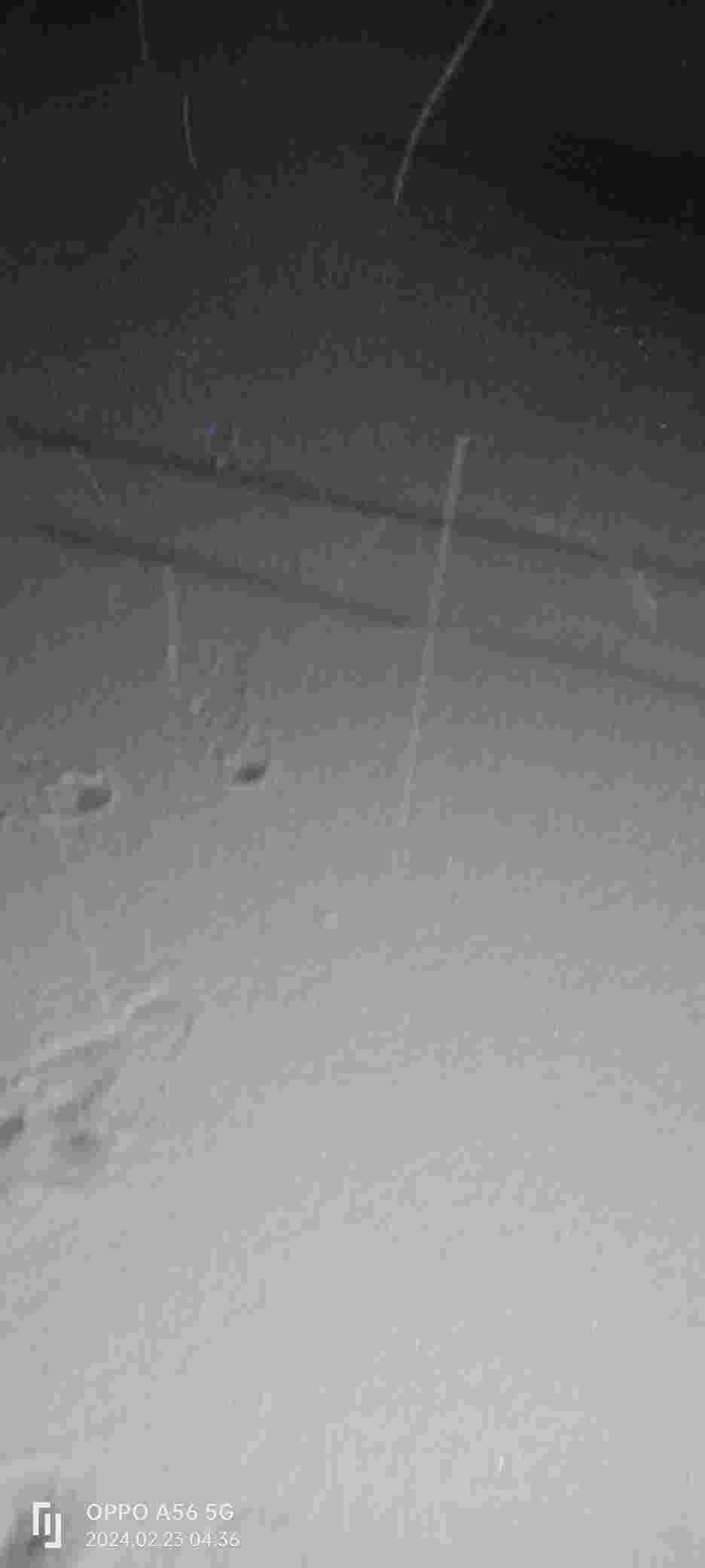 20240223043801front2_0_353664_Fk5-mLXSsE8q9cns3fZ1bT2pcTlm.jpg