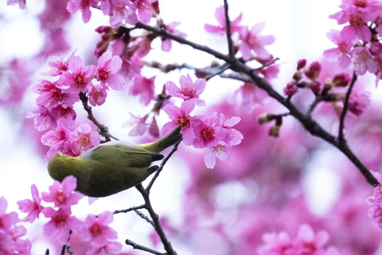 微信图片_20240301190037.jpg