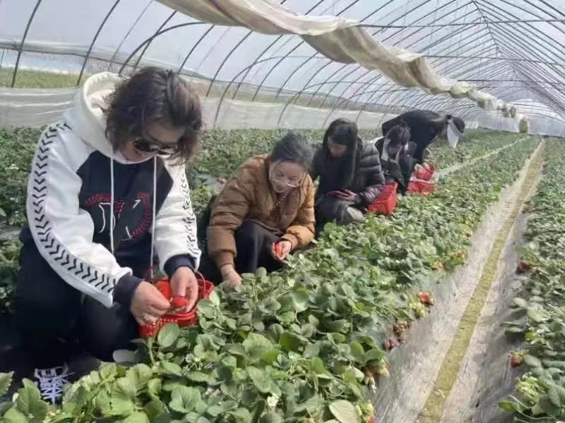 微信图片_20240309102254.jpg