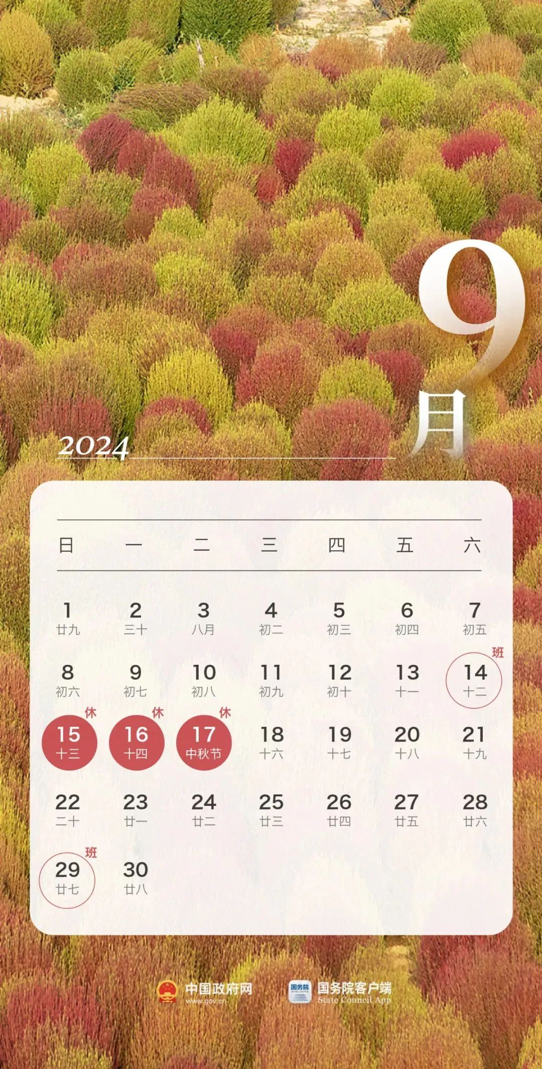 444.jpg