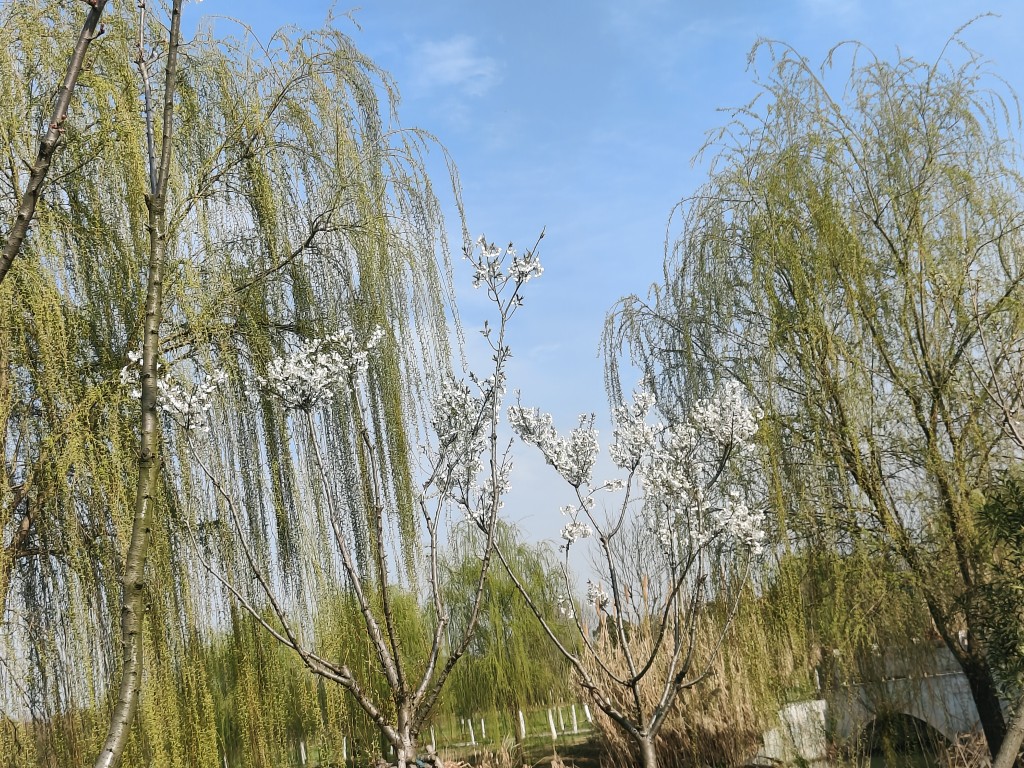 20240321185411front2_0_233786_FvVLaFqy6xiAYOviEomC4kXYEpKj.jpg