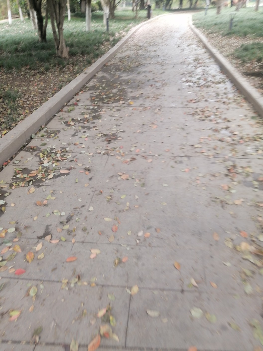 20240326123545front2_0_242240_FkihczGl9qM0dayY2KfDKYm7rJ1R.jpg