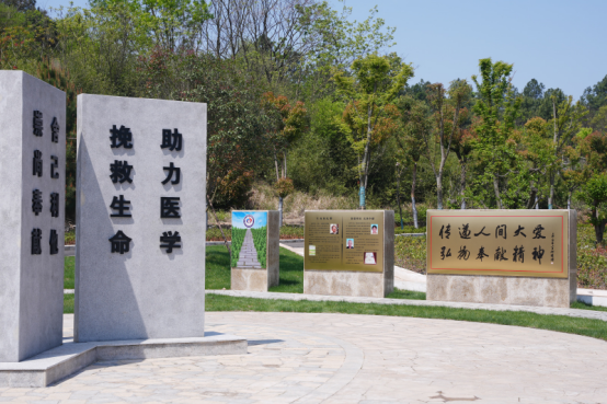图片15.png