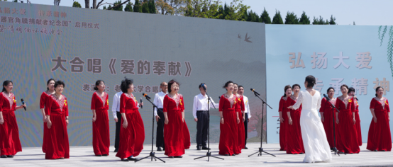 图片12.png