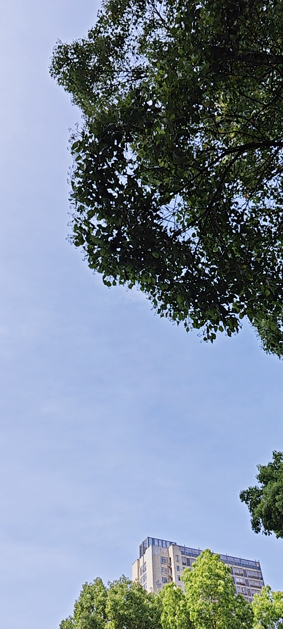 20240418152015front2_0_386442_Fgxzh06WjjAGn75oCwYlgyTj31LO.png