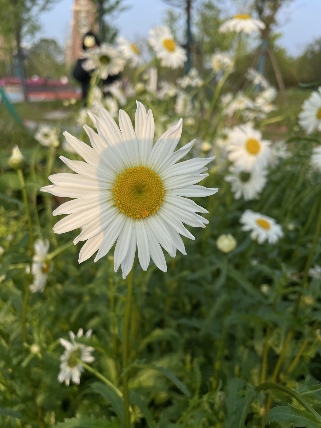 20240506122124front1_0_53791_Fh6v9dW__cwo982quuHKKbr1cHMt.jpg