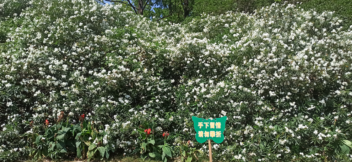 微信图片_20240510095121.png