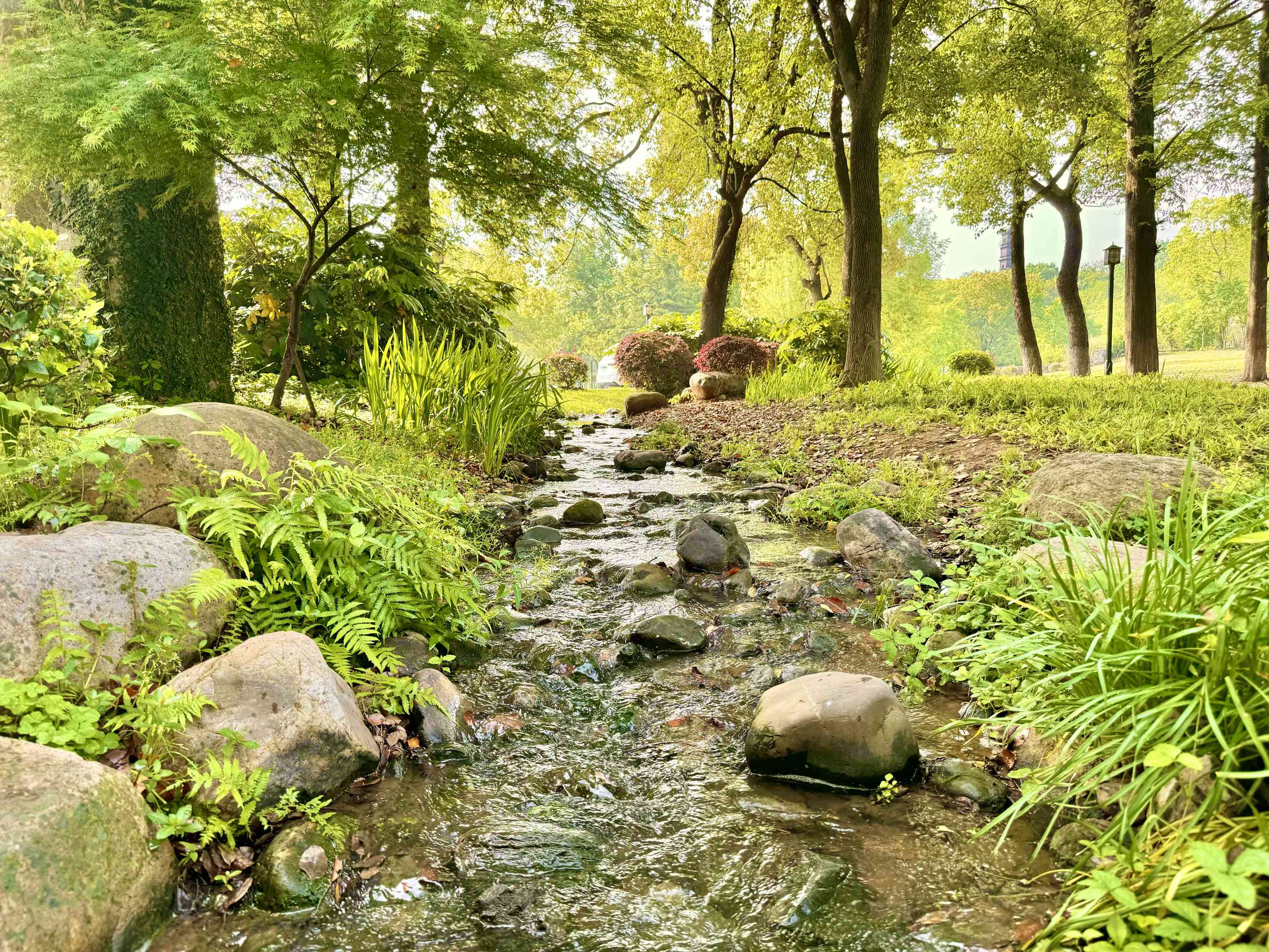百荷公园3.jpg