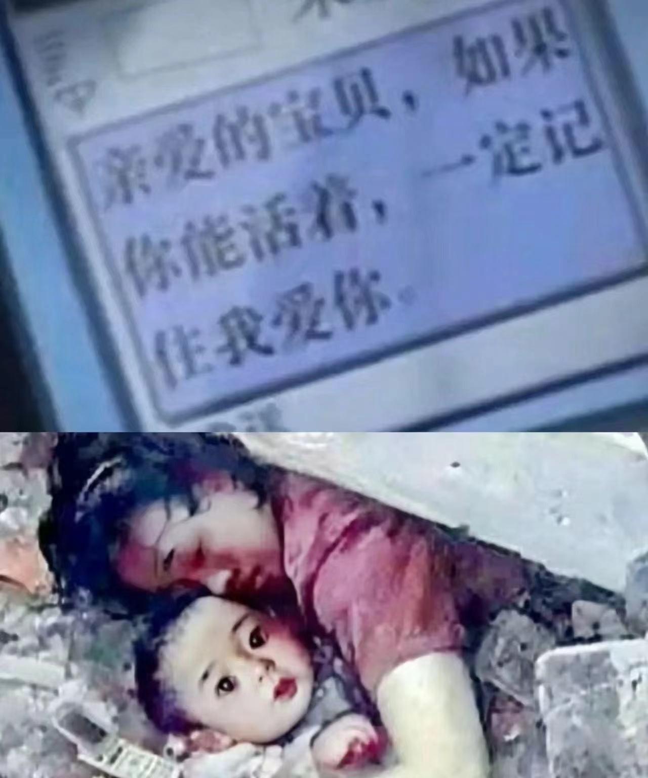 171556332757329217.jpg
