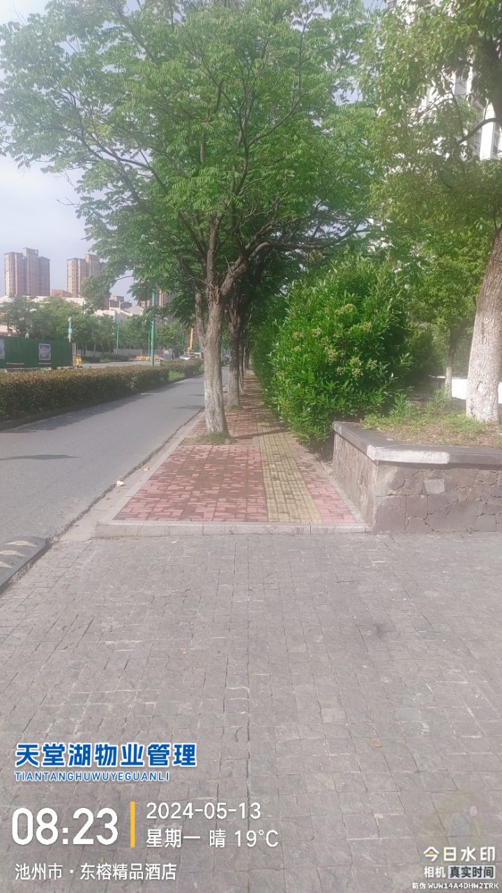 20240513102454front2_0_334441_FvLIWdEnRWJzw5YNrl339AJQLSlE.jpg
