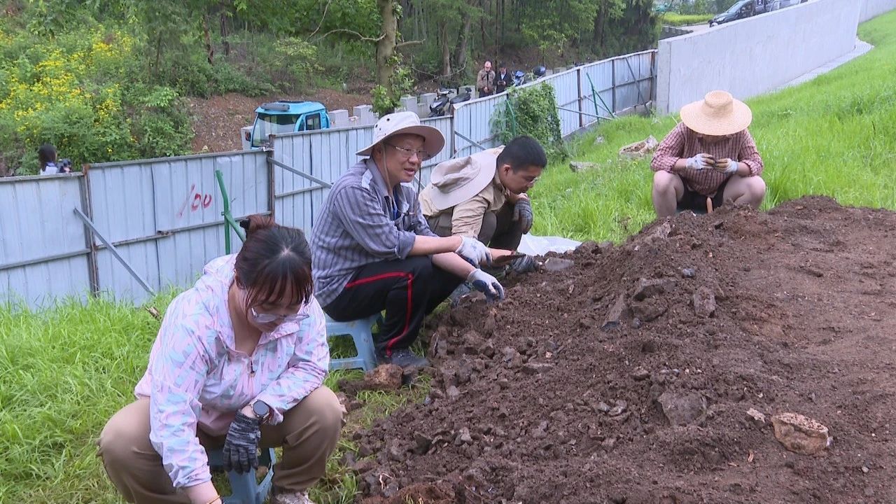 微信图片_20240513153104.jpg