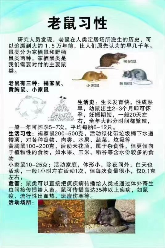 8a0970fe584d1691af3bcfe901dfa6a.jpg