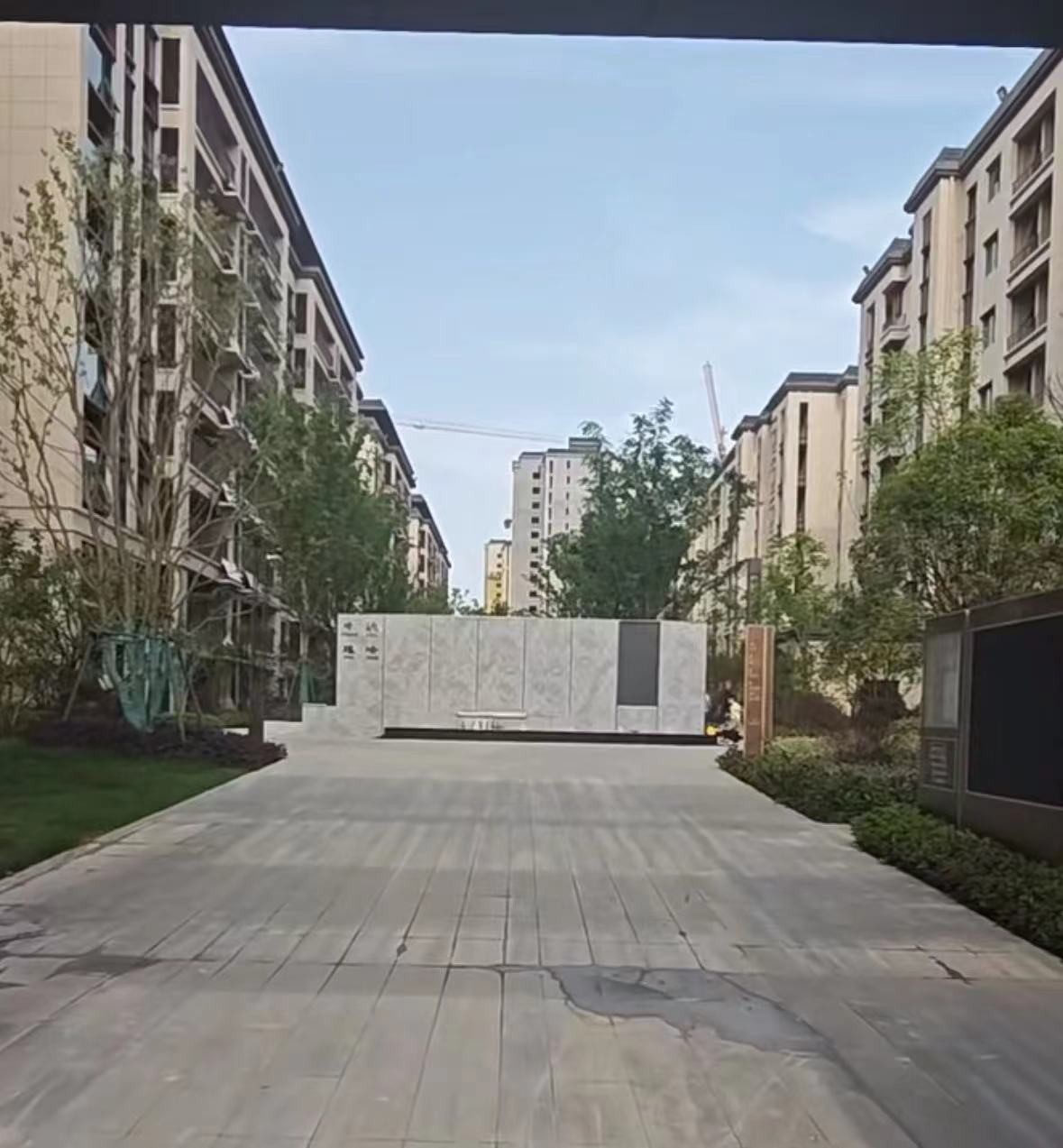 171576121743446553.jpg