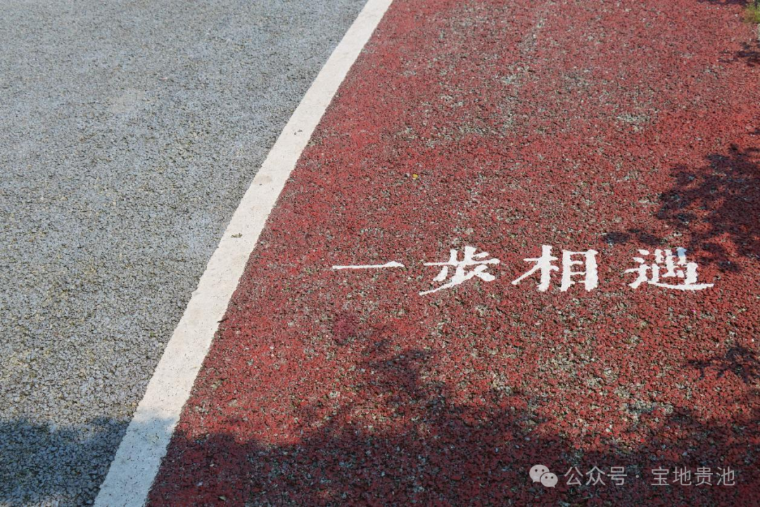 微信图片_20240521101350.png