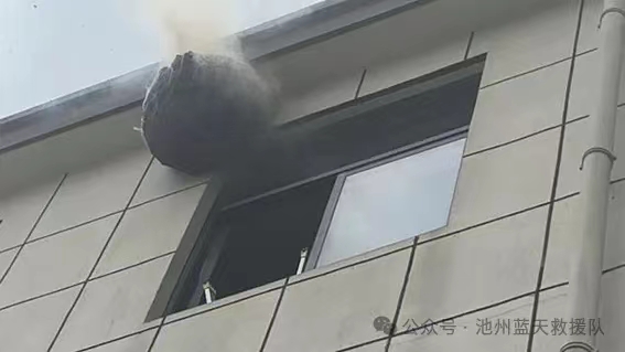 微信图片_20240527182958.jpg