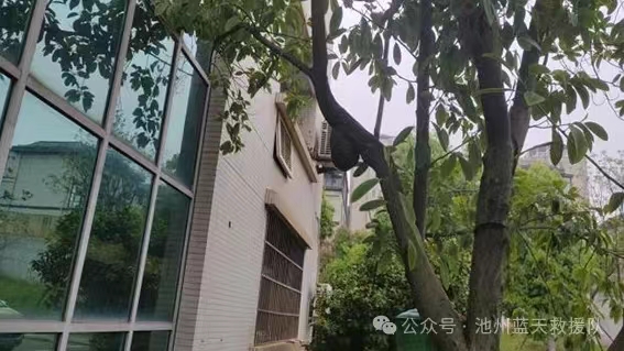 微信图片_20240527183009.jpg