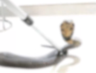 f27172ae634d3e07275ea7028f6518c.png