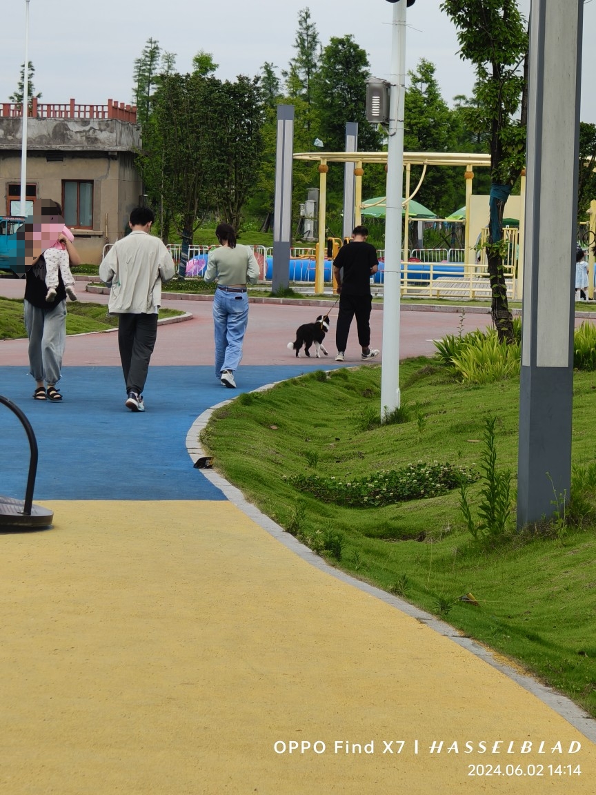 微信图片编辑_20240602155850.jpg