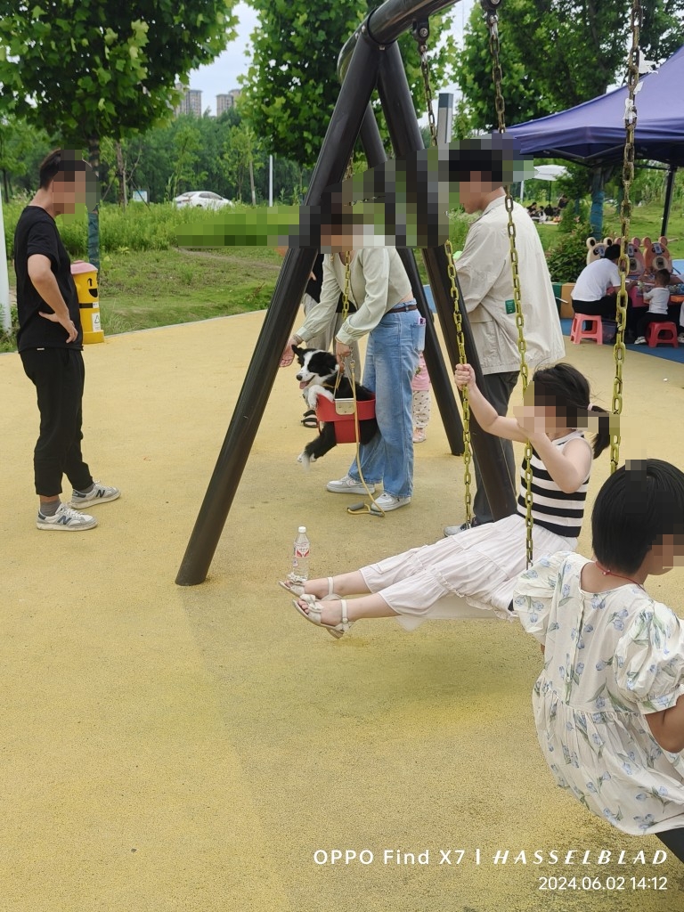微信图片编辑_20240602155827.jpg