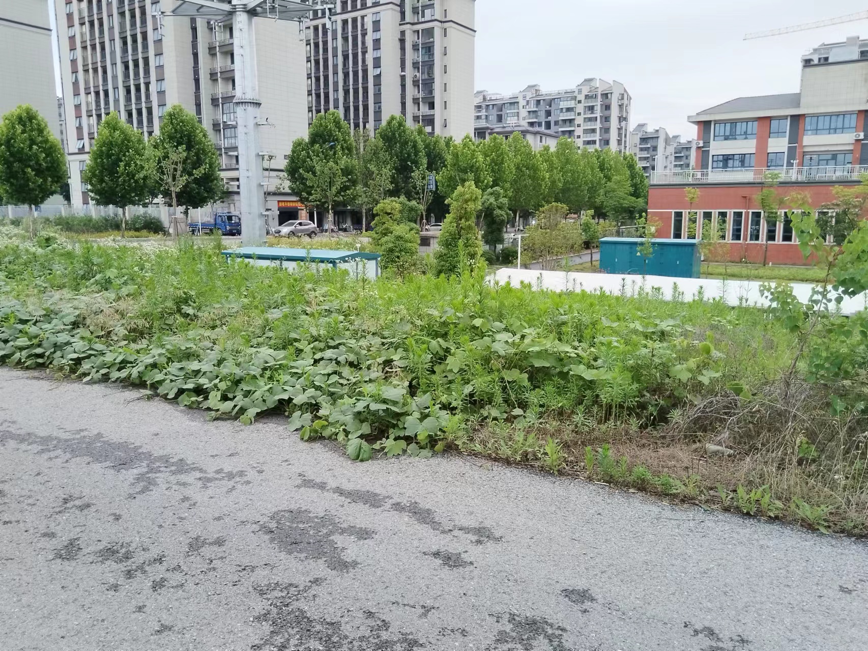 微信图片_20240603091336.jpg