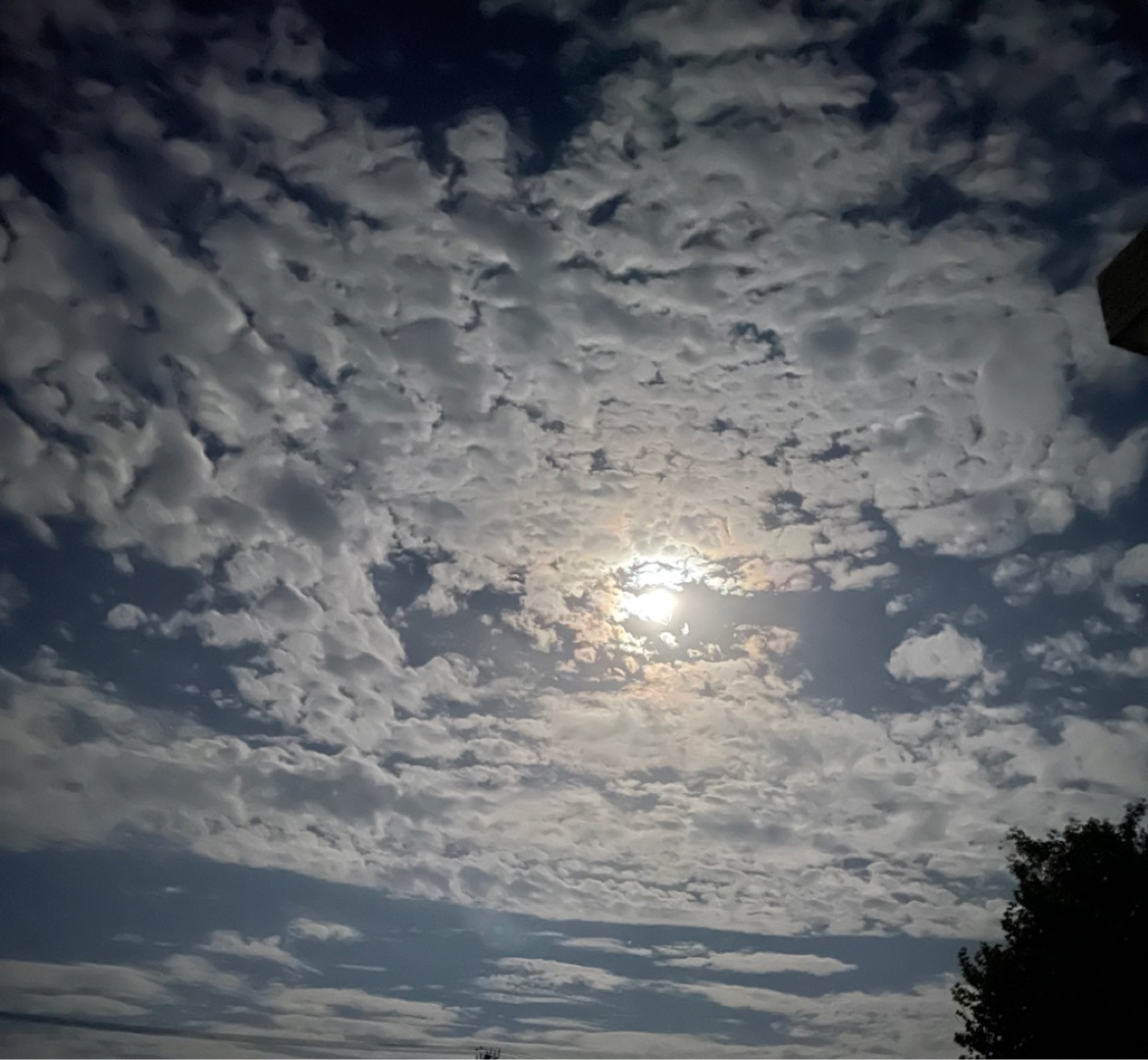 20240607094056front1_0_394346_Fg7-ncfXjygExpLaQyQj_ArRp2bz.jpg