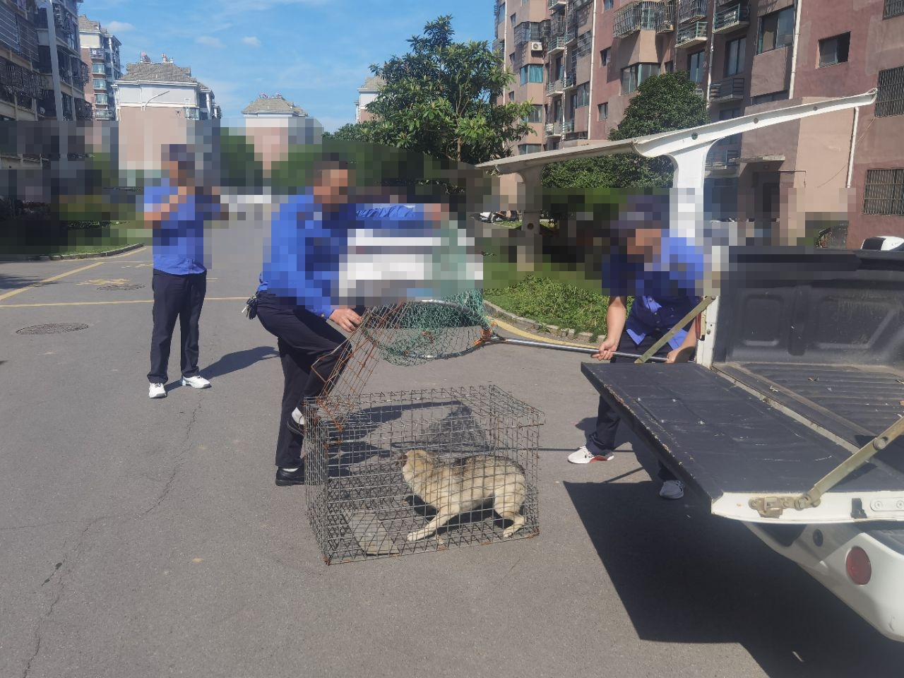 微信图片编辑_20240611153142.jpg