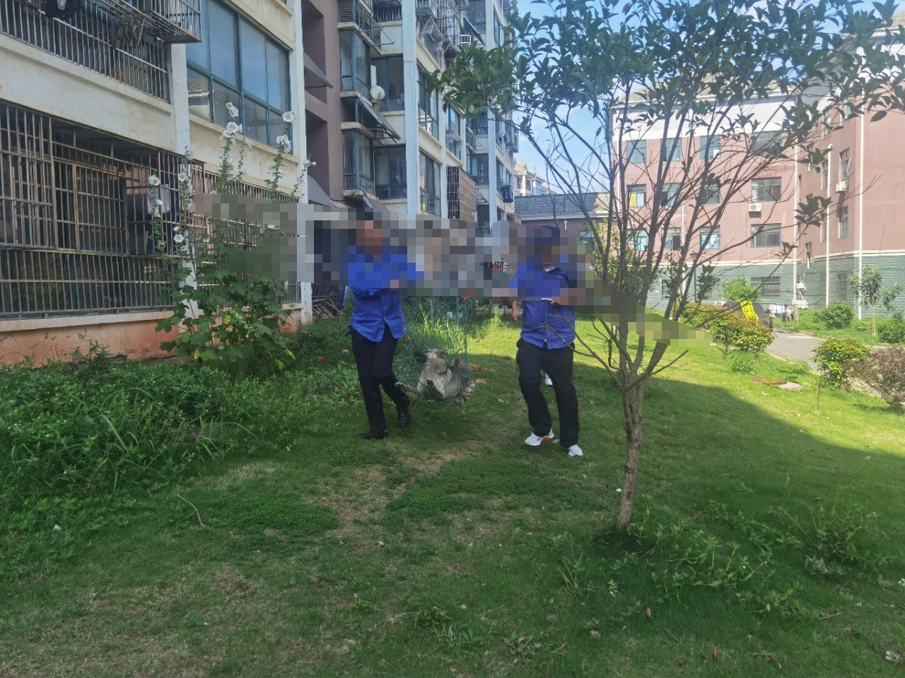 微信图片编辑_20240611153118.jpg