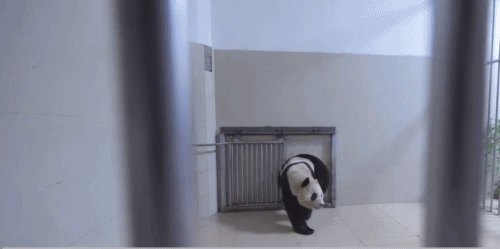 微信图片_20240612111737.gif